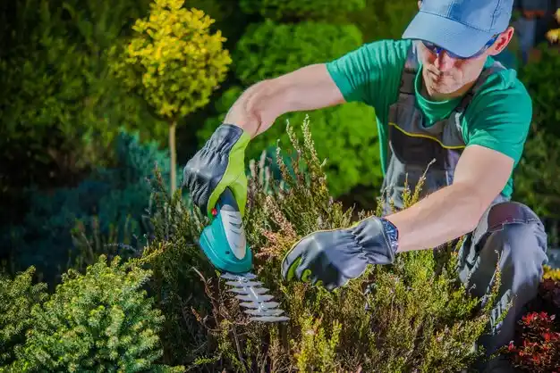 landscaping services Vienna Bend